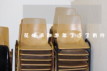 花呗逾期半年了还了有什么后果