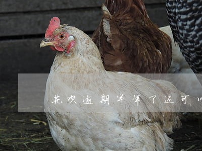 花呗逾期半年了还可以再用吗 花呗逾期半年了还可以再用吗