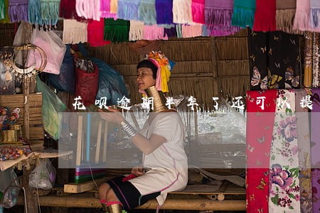 花呗逾期半年了还可以提前还吗 花呗逾期半年了还可以提前还吗