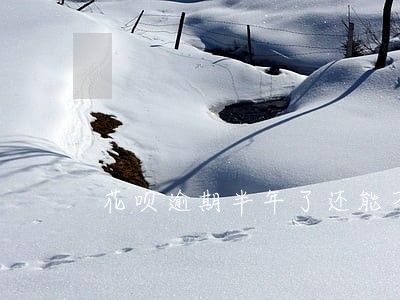 花呗逾期半年了还能不能借出来 花呗逾期半年了还能不能借出来