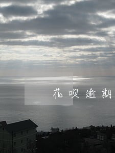 花呗逾期半年了还能再借吗 花呗逾期半年了还能再借吗