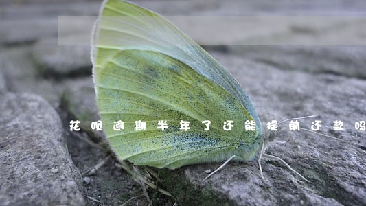 花呗逾期半年了还能提前还款吗 花呗逾期半年了还能提前还款吗
