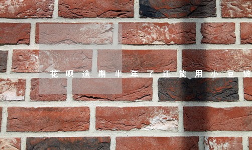 花呗逾期半年了还能用小豆贷吗 花呗逾期半年了还能用小豆贷吗
