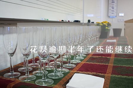 花呗逾期半年了还能继续使用吗 花呗逾期半年了还能继续使用吗