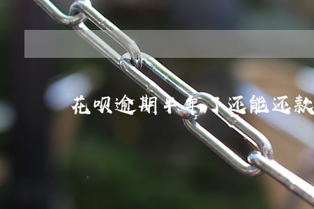 花呗逾期半年了还能还款吗 花呗逾期半年了还能还款吗