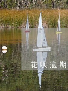 花呗逾期半年五年后会消除马 花呗逾期半年五年后会消除马