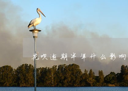 花呗逾期半年什么影响 花呗逾期半年什么影响