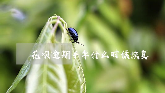 花呗逾期半年什么时候恢复 花呗逾期半年什么时候恢复
