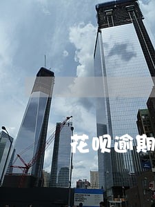 花呗逾期半年以后还可以吗 花呗逾期半年以后还可以吗