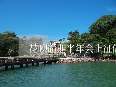 花呗逾期半年会上征信吗 花呗逾期半年会上征信吗