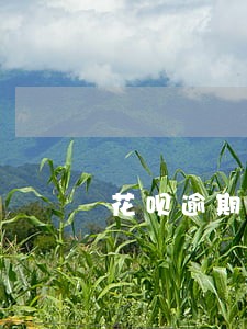 花呗逾期半年会上门么 花呗逾期半年会上门么