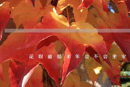 花呗逾期半年会不会坐牢 花呗逾期半年会不会坐牢
