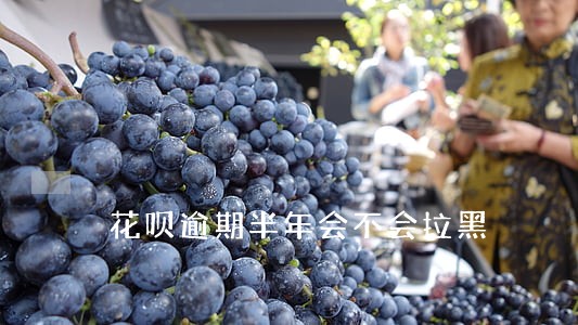 花呗逾期半年会不会拉黑 花呗逾期半年会不会拉黑