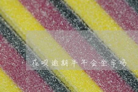 花呗逾期半年会坐牢吗 花呗逾期半年会坐牢吗