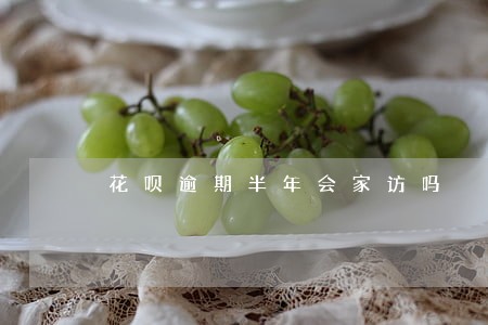 花呗逾期半年会家访吗 花呗逾期半年会家访吗