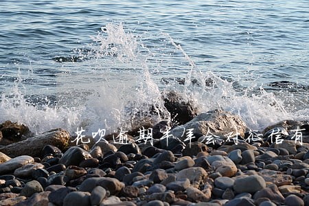 花呗逾期半年会对征信有影响么 花呗逾期半年会对征信有影响么