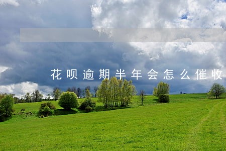 花呗逾期半年会怎么催收 花呗逾期半年会怎么催收