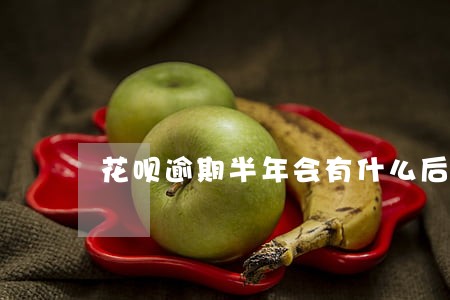 花呗逾期半年会有什么后果 花呗逾期半年会有什么后果