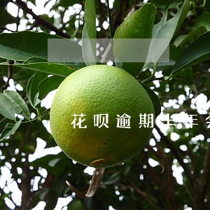 花呗逾期半年会有高利息吗 花呗逾期半年会有高利息吗
