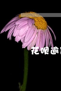 花呗逾期半年催款打给通讯录 花呗逾期半年催款打给通讯录