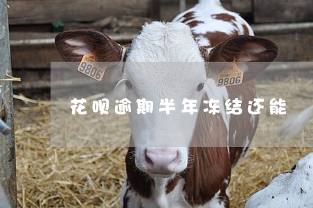 花呗逾期半年冻结还能 花呗逾期半年冻结还能
