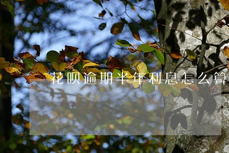 花呗逾期半年利息怎么算的 花呗逾期半年利息怎么算的