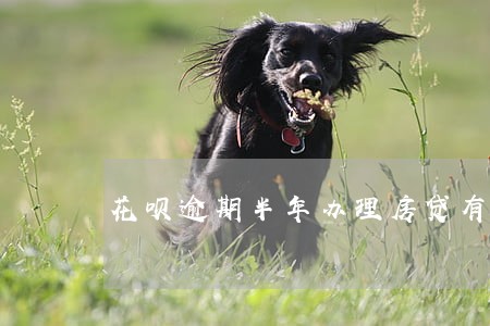 花呗逾期半年办理房贷有影响吗 花呗逾期半年办理房贷有影响吗