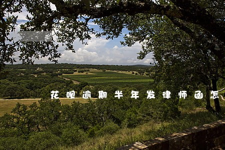 花呗逾期半年发律师函怎么办 花呗逾期半年发律师函怎么办