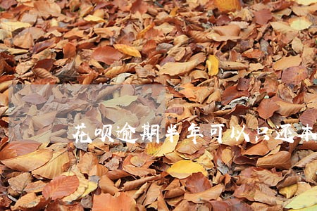 花呗逾期半年可以只还本金吗 花呗逾期半年可以只还本金吗