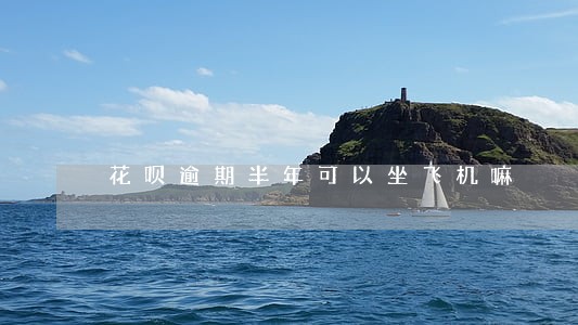 花呗逾期半年可以坐飞机嘛 花呗逾期半年可以坐飞机嘛