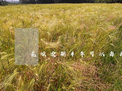 花呗逾期半年可以每月还一点吗 花呗逾期半年可以每月还一点吗