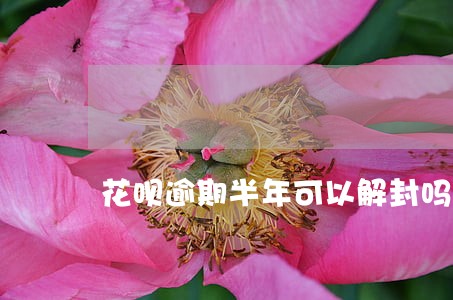 花呗逾期半年可以解封吗 花呗逾期半年可以解封吗