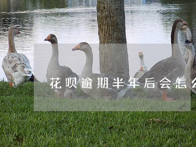 花呗逾期半年后会怎么样 花呗逾期半年后会怎么样