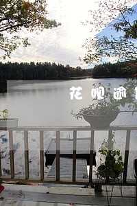 花呗逾期半年后又开通