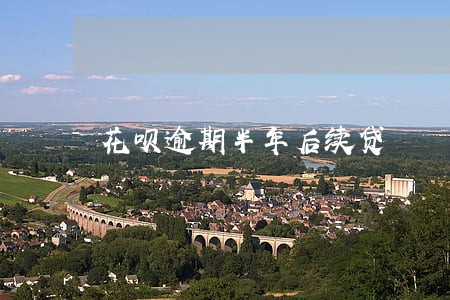 花呗逾期半年后续贷
