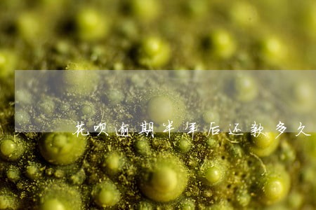 花呗逾期半年后还款多久能解冻 花呗逾期半年后还款多久能解冻