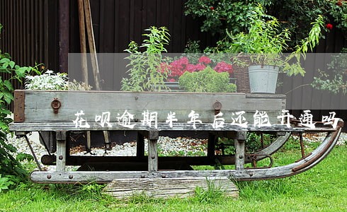 花呗逾期半年后还能开通吗 花呗逾期半年后还能开通吗