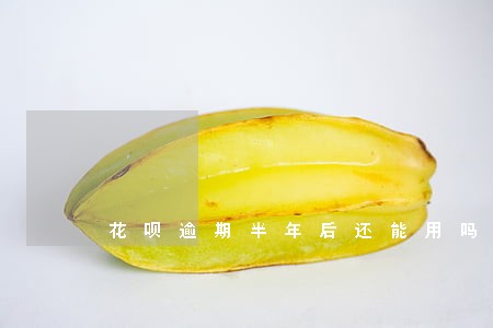 花呗逾期半年后还能用吗 花呗逾期半年后还能用吗