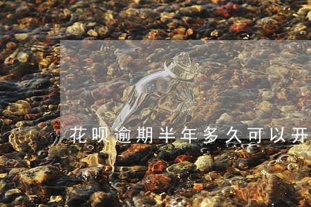 花呗逾期半年多久可以开通 花呗逾期半年多久可以开通
