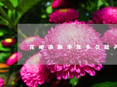 花呗逾期半年多久能开通 花呗逾期半年多久能开通