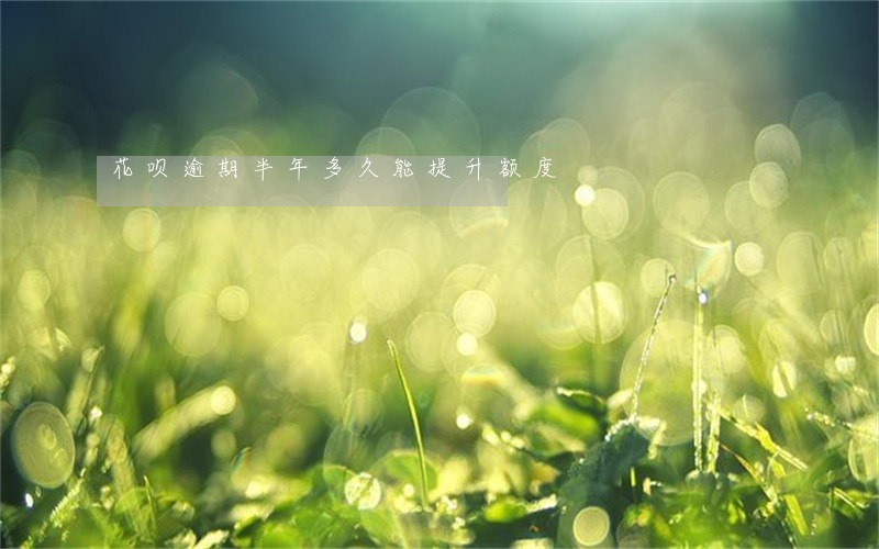 花呗逾期半年多久能提升额度