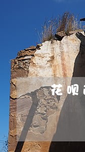 花呗逾期半年多会上门吗 花呗逾期半年多会上门吗