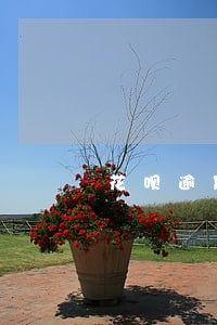 花呗逾期半年天天上门催收 花呗逾期半年天天上门催收
