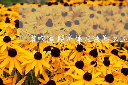 花呗逾期半年应该怎么还 花呗逾期半年应该怎么还