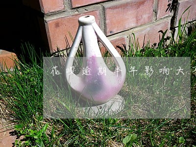 花呗逾期半年影响大不大 花呗逾期半年影响大不大