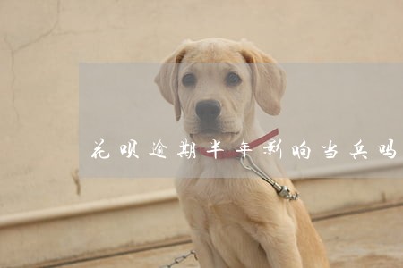 花呗逾期半年影响当兵吗 花呗逾期半年影响当兵吗