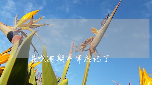 花呗逾期半年忘记了 花呗逾期半年忘记了