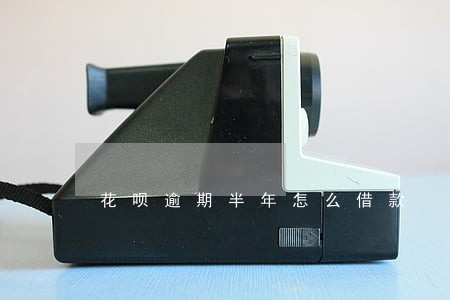 花呗逾期半年怎么借款