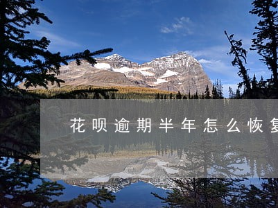 花呗逾期半年怎么恢复使用 花呗逾期半年怎么恢复使用