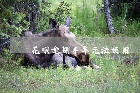 花呗逾期半年无法使用